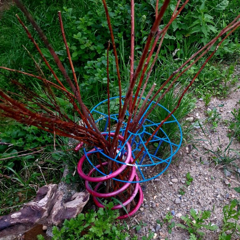 Wähle deine Rute aus Bunte Trommel, Stoßdämpfer mit verzweigten Ästen , Rute, auf grünem Boden.